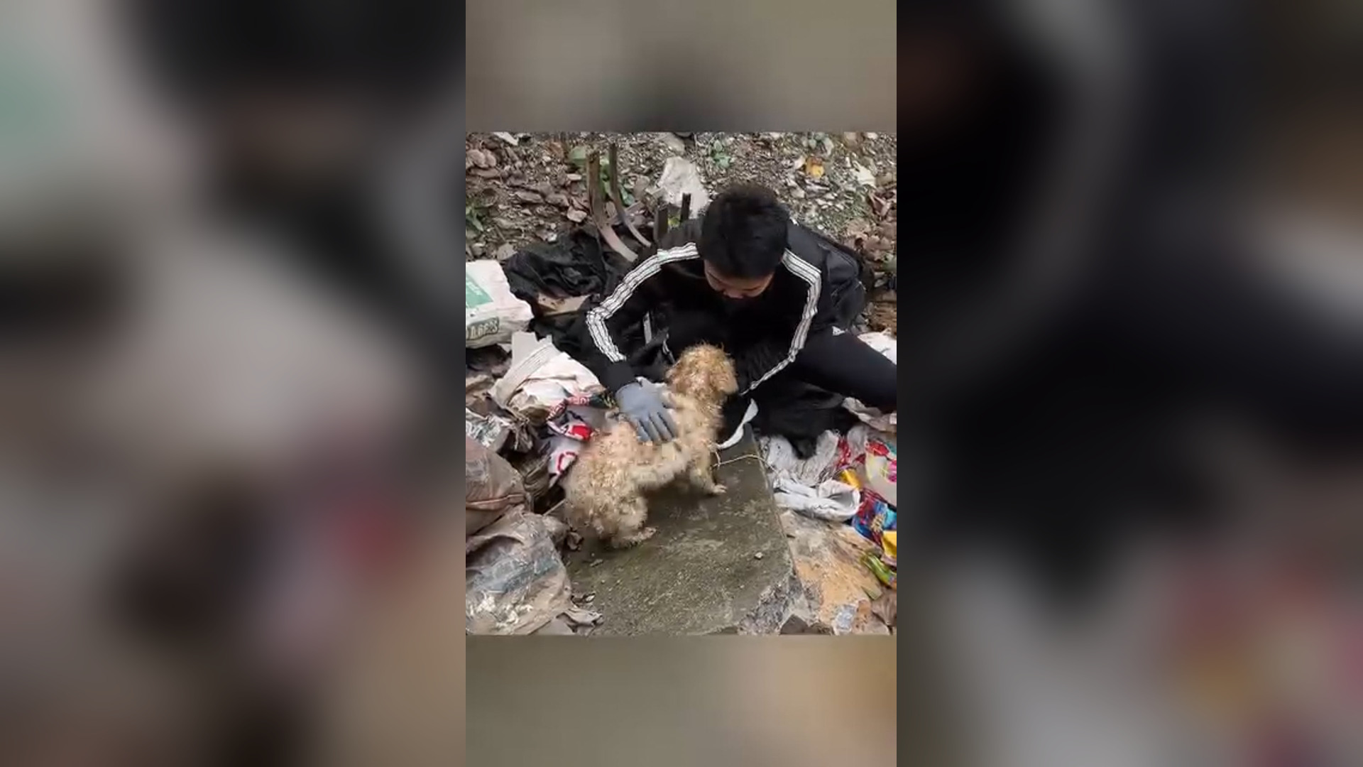 D1405005_Rescue puppy #rescue #rescueanimals #rescuedog #rescuepuppy #dog #dogsoftiktok #puppy #animals #animalsoftiktok #fyp_pa