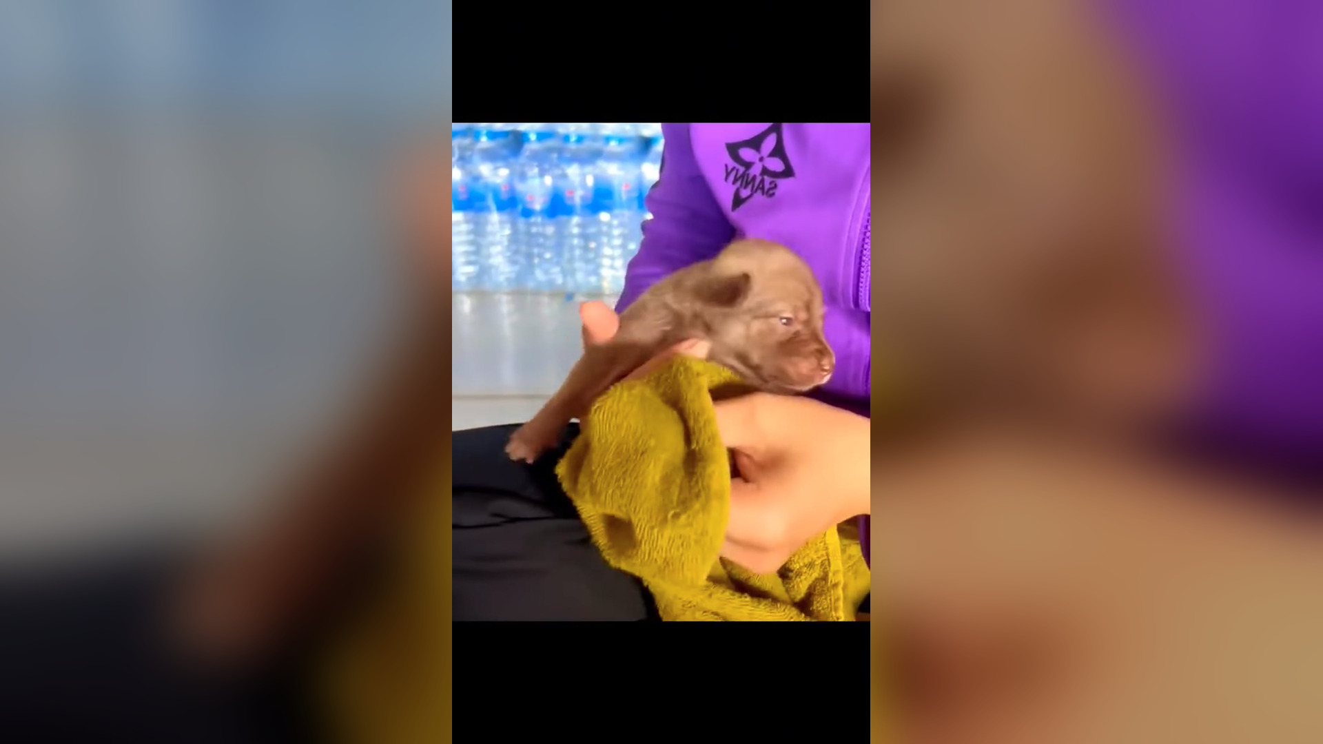 D1705008_Rescue baby Dog #rescue #rescueanimals #rescuedog #dog #dogsoftiktok #animals #animalsoftiktok_part 2