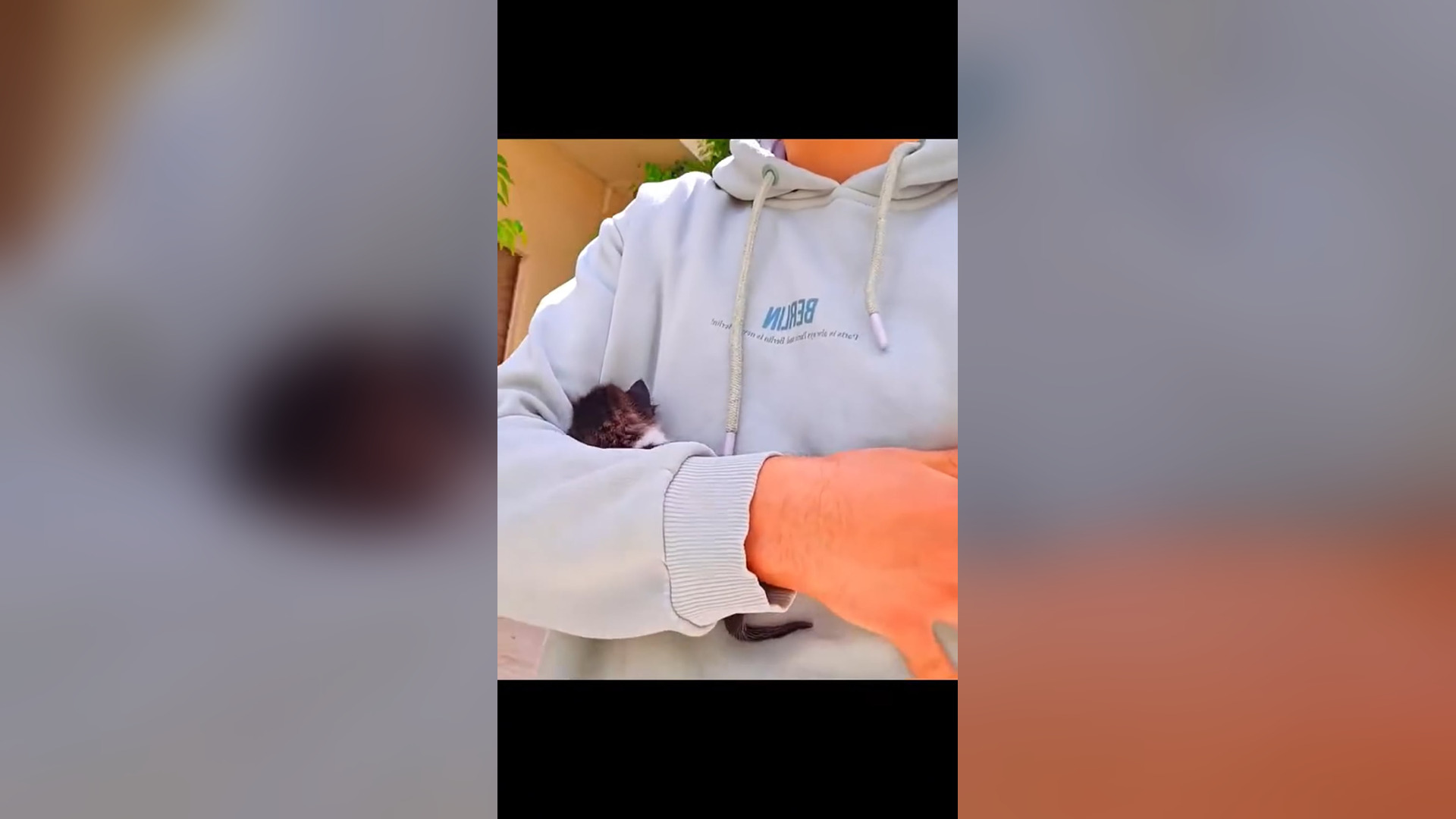D1605007_Rescue Cat #rescue #rescueanimals #rescuecat #animals #animalsoftiktok #cat #catsoftiktok (2)_part 2