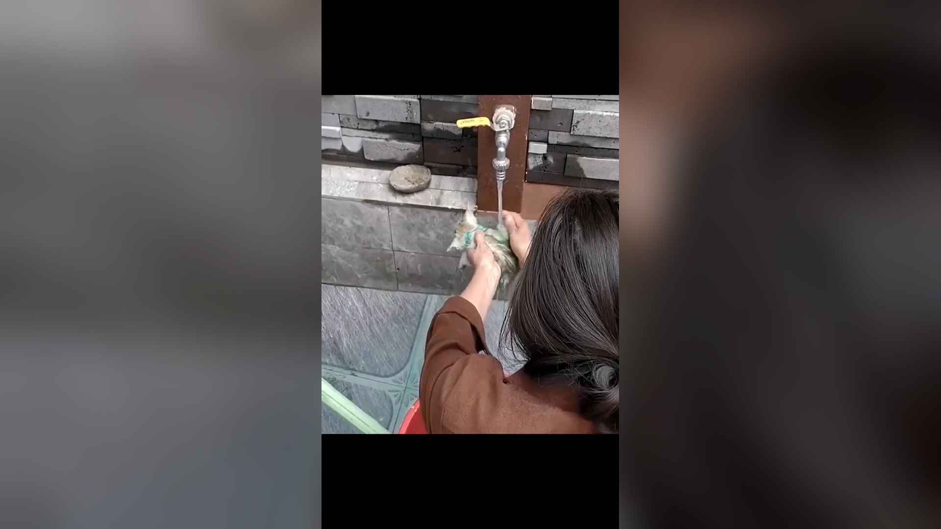 D1605009_Rescue Cat #rescue #rescueanimals #rescuecat #animals #animalsoftiktok #cat #catsoftiktok (4)_part 2