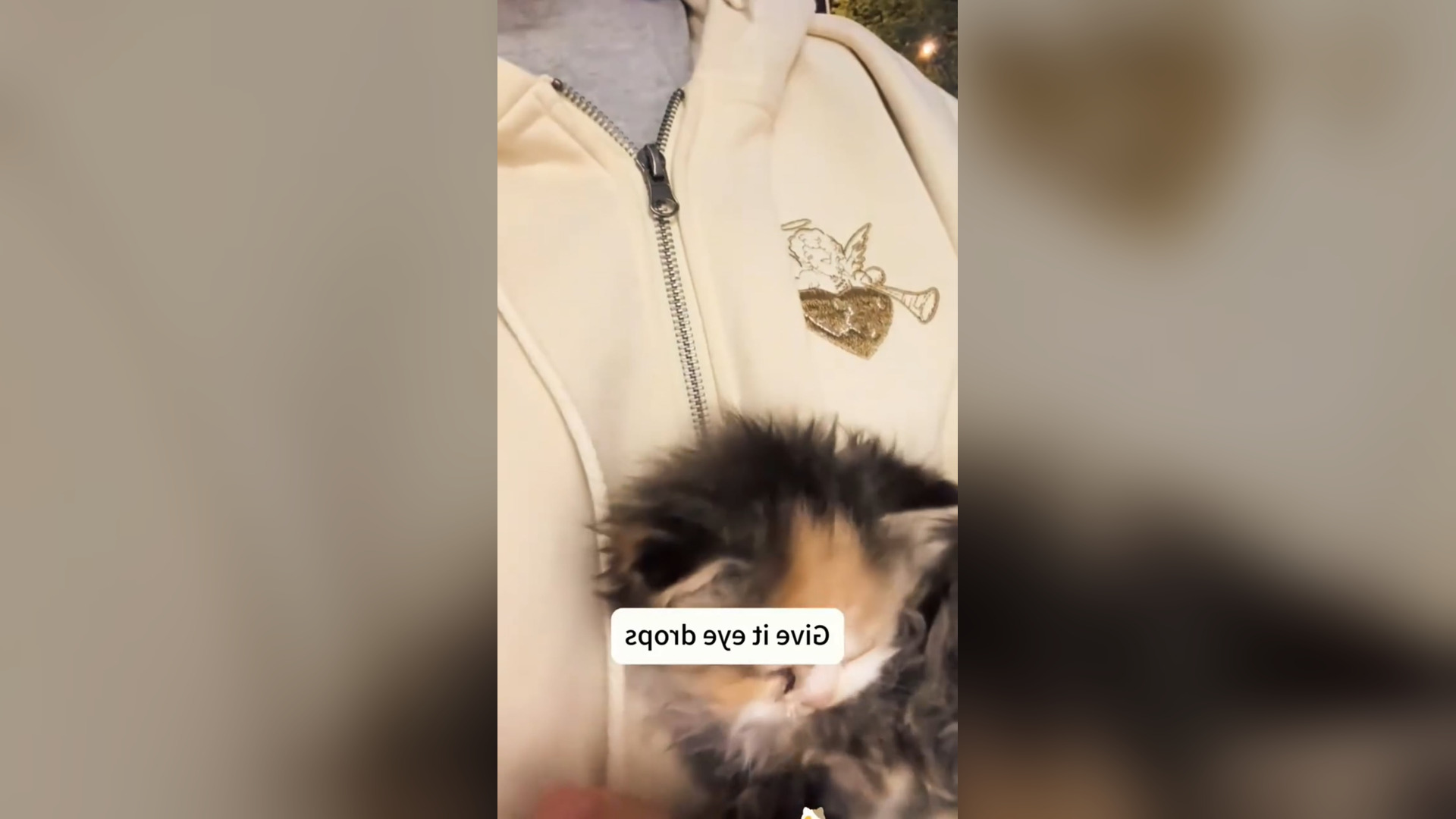 D0106004_reactions comments Thank rescue baby cat on river. #savelife #rescue #GodBless 1M On Me_part 2