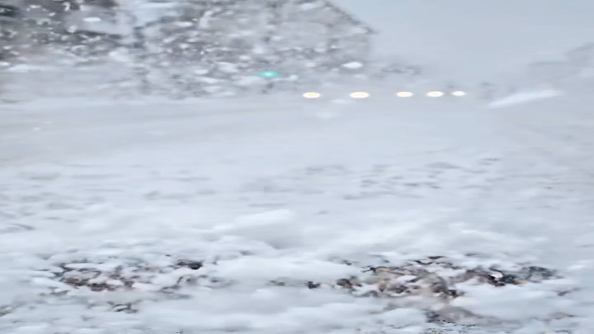Part 2 Full D0606021_two puppies were abandoned in middle of road in snow #ViralStory #EmotionalStory #Heartbreaking #KindnessMatters #Stree